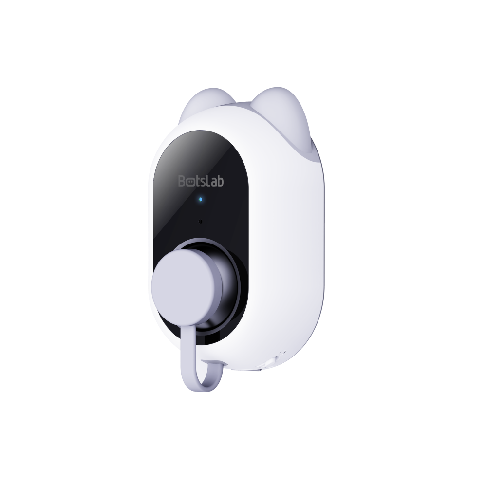W101 Botslab Window Camera