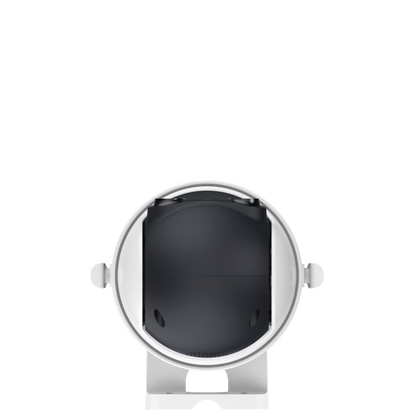 W312 Outdoor Pan/Tilt Camera (2 Packs)