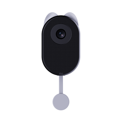 W101 Botslab Window Camera